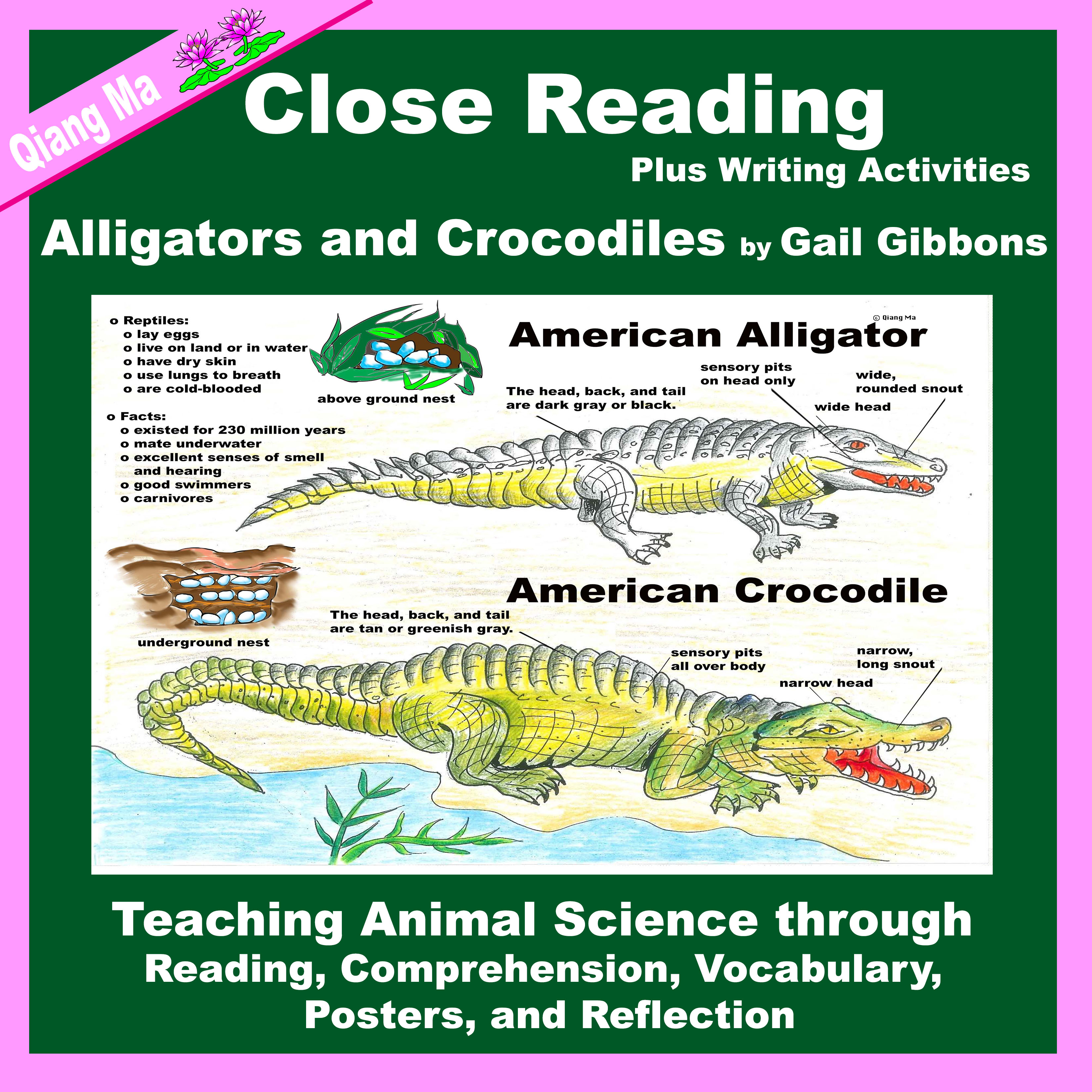 Preview Image 1 of 135