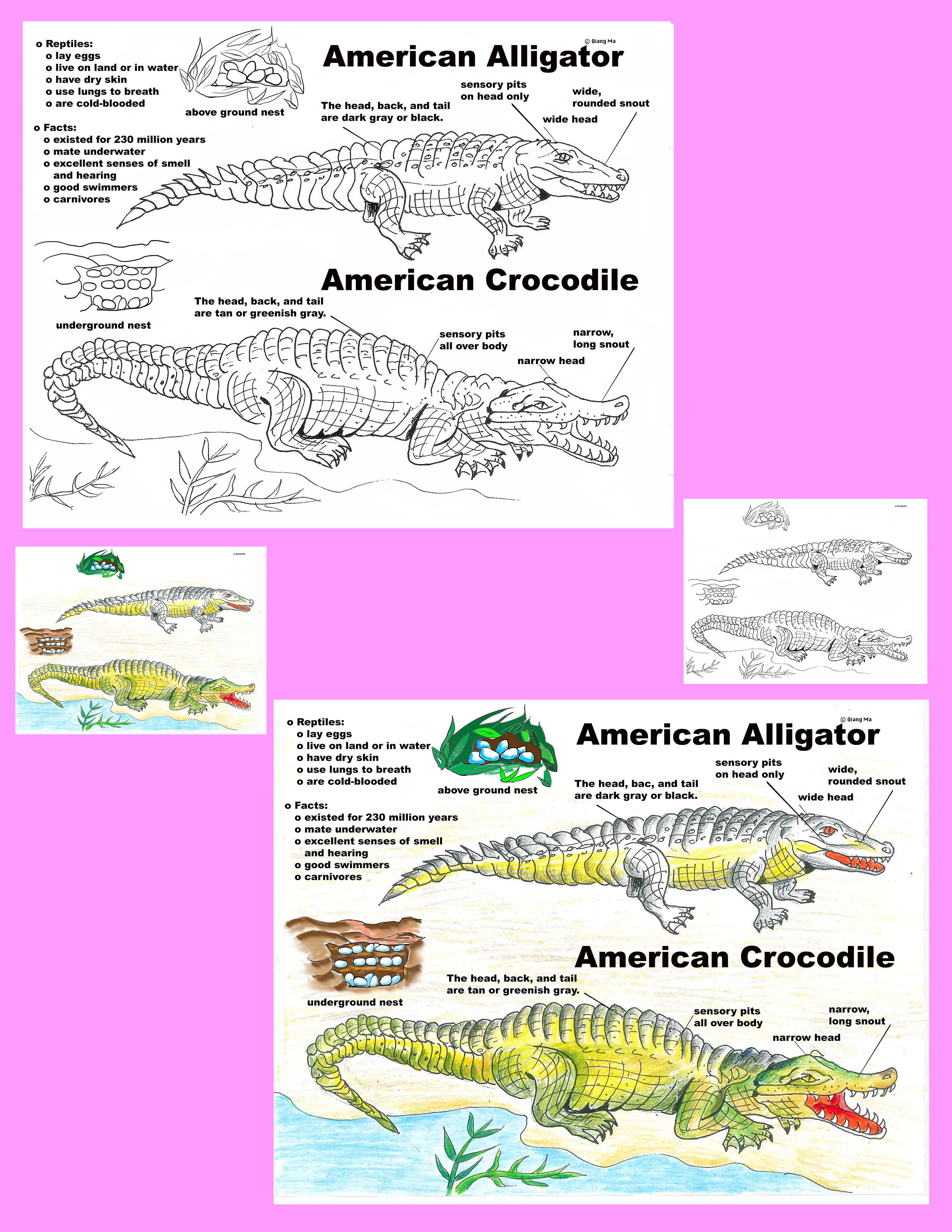 Preview Image 2 of 135