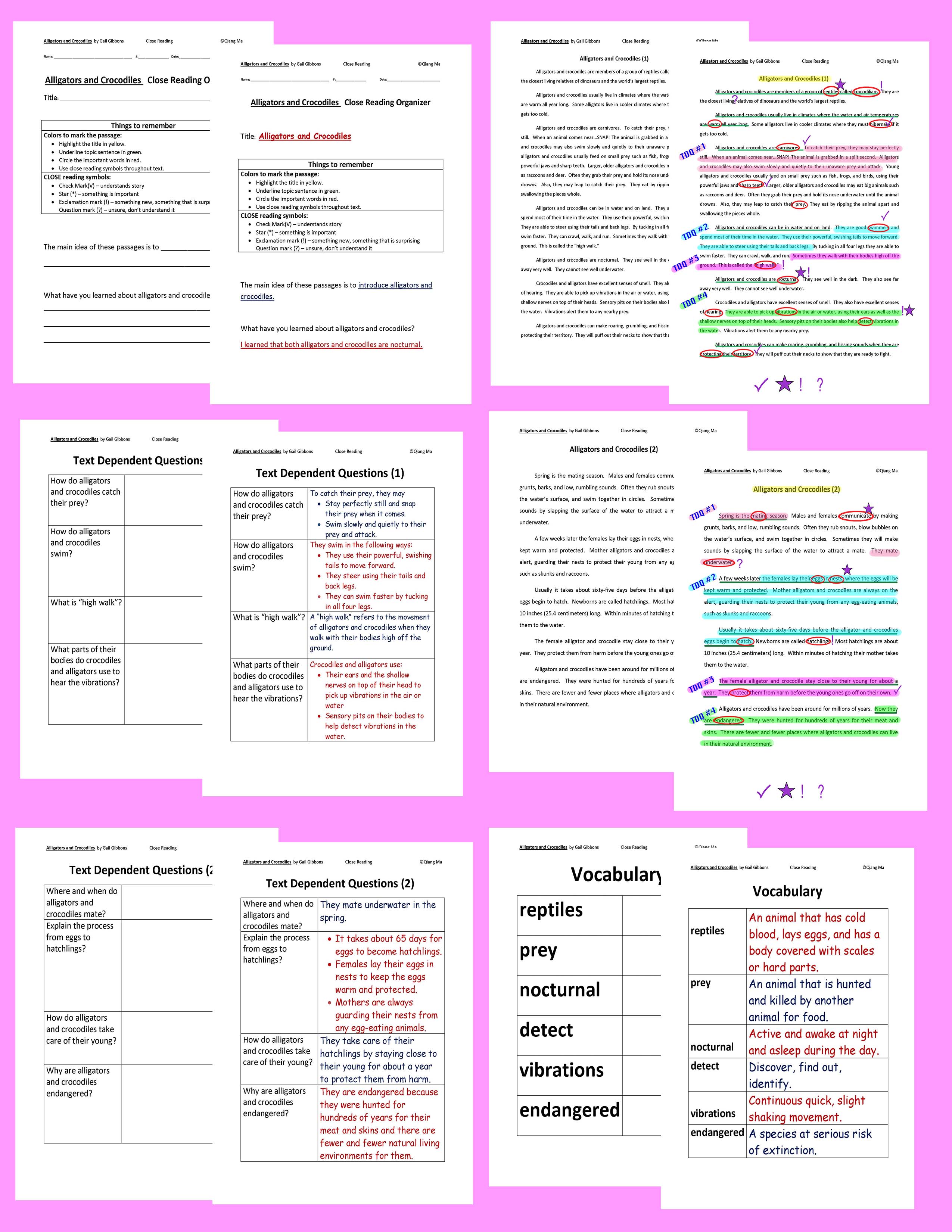 Preview Image 3 of 135