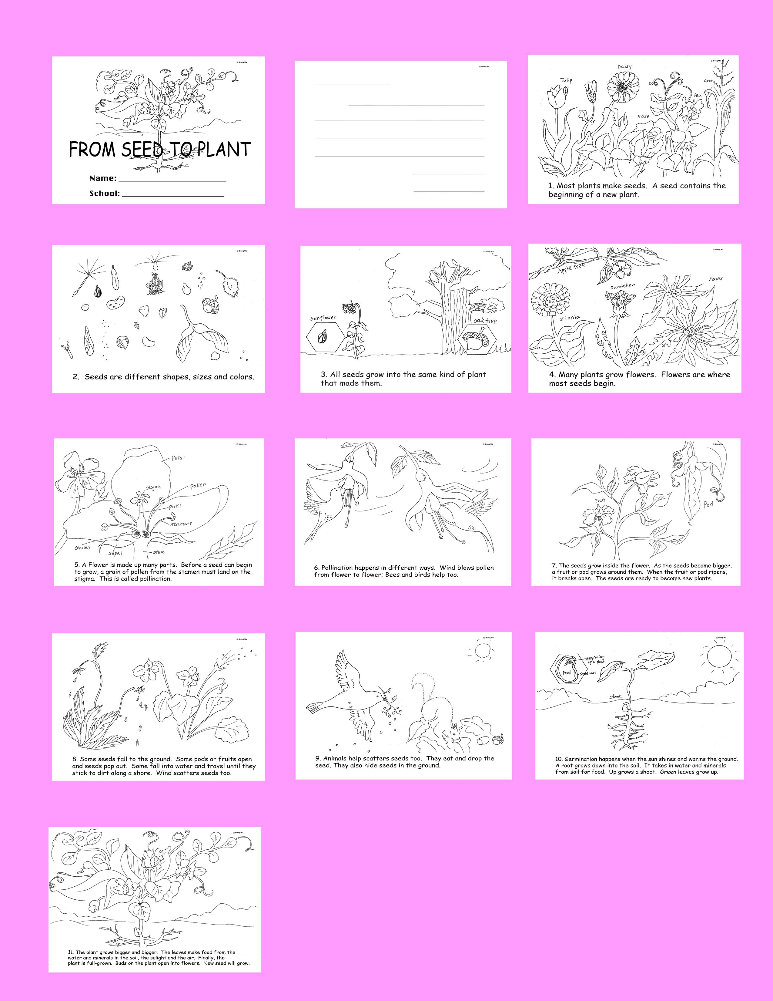 Preview Image 4 of 259