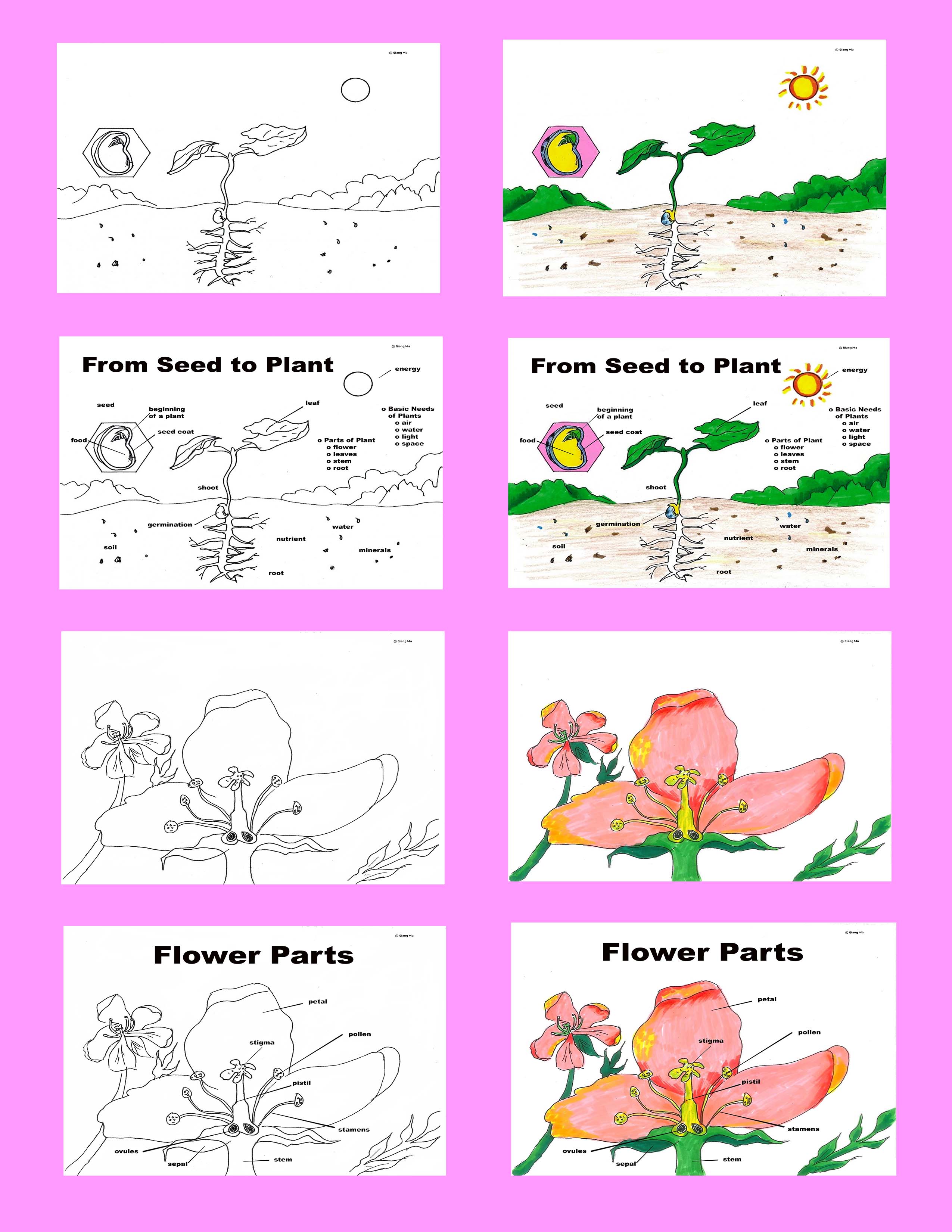 Preview Image 2 of 35